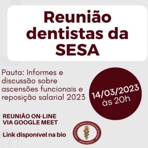 Reunião dentistas da SESA